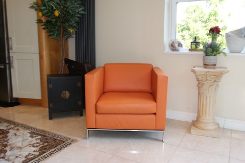 Designer original walter - 1,